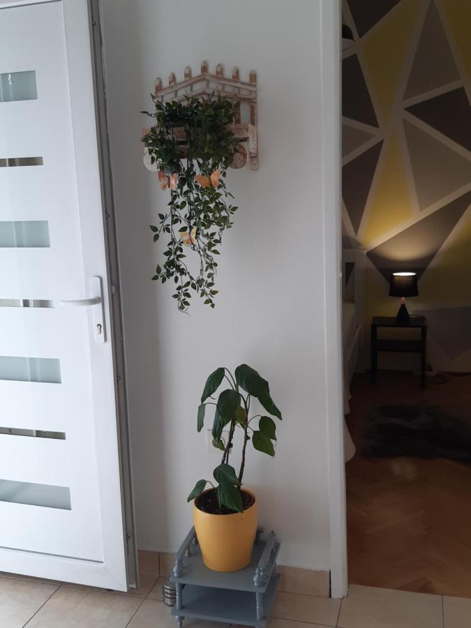 Apartment Jardin With Free Cowered Parking 扎达尔 外观 照片