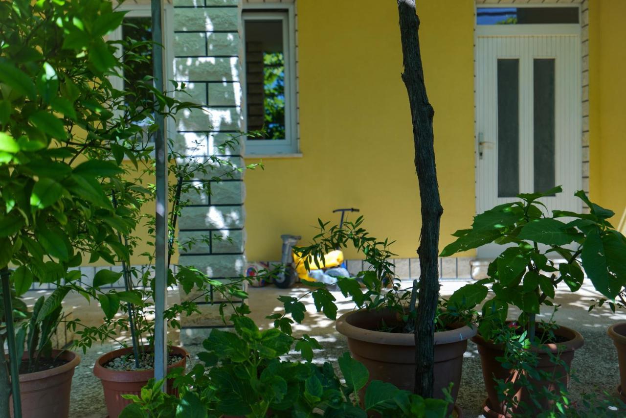 Apartment Jardin With Free Cowered Parking 扎达尔 外观 照片